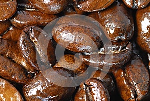 Freshly roasted coffee beans