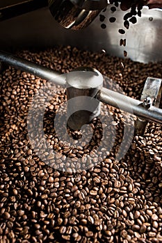 Freshly roasted coffee beans