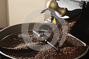 Freshly roasted coffee beans