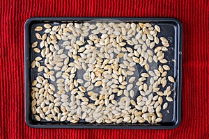 Freshly roasted and salted pumpkin seeds on a baking sheet cooling on a towel