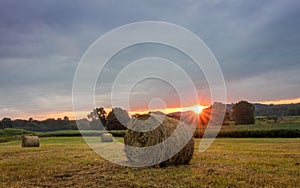 Freshly rolled bales of hay rest on a field at sunrise in Sussex County, NJ, late summer