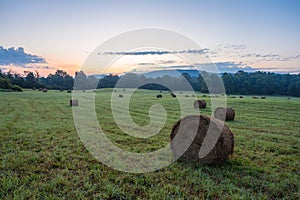 Freshly rolled hay bales rest in a farm field on a late summer morning