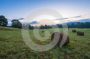 Freshly rolled hay bales rest in a farm field on a late summer morning