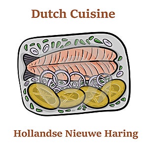 Freshly salted herring fish, traditional dutch delicacy called hollandse nieuwe on turquoise plate and white background