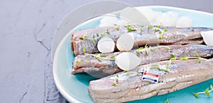 Freshly salted herring with salt, with copy space. Traditional Dutch delicacy.