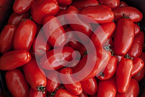 Freshly San Marzano tomatoes, Group of tomatoes Suitable for making background images