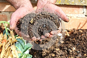 Freshly sifted compost soil to fertilize the garden