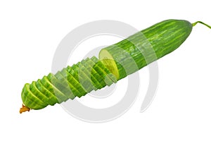 Freshly Sliced Cucumber