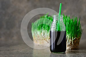 Freshly squized wheatgrass portion in a bottle with a straw