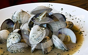 Freshly steamed clams in broth