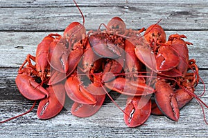 Freshly Steamed Lobsters in Pile