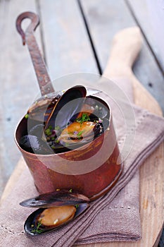 Freshly steamed marine mussels in a copper pot
