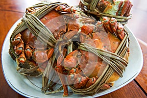 Freshly steamed plump hairy crab close-up