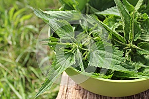 Freshly stinging nettles in bowl