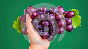 freshly summer grape background