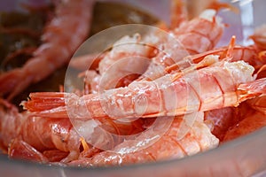 Freshly thawed shrimps lie on a plate