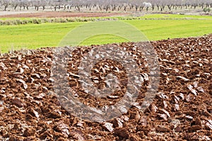 Freshly tilled red farmland in the countryside photo