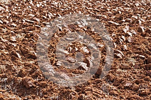 Freshly tilled red farmland in the countryside photo