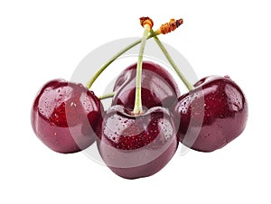 Freshly washed cherries isolated on transparent background.