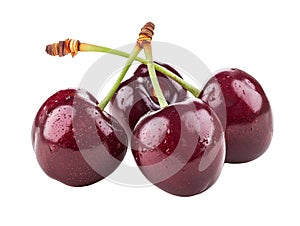 Freshly washed cherries isolated on transparent background.