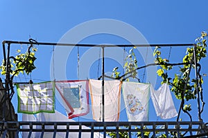 Freshly washed laundry