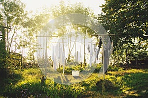 Freshly washed laundry drying on the string outside in the backyard of the farm