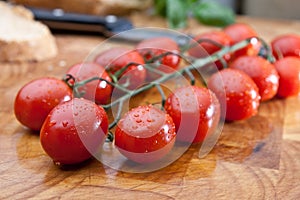 Freshly washed vine tomatoes