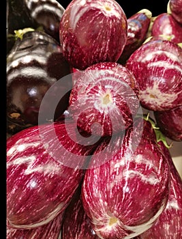 Freshness and ecologic vegetables isolated in color background