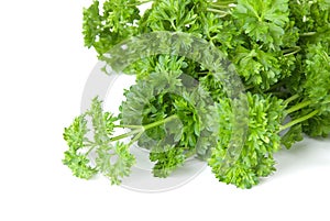 Freshness green parsley