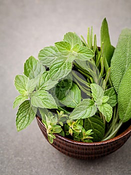 Freshness herbs still life with peppermint,rosemary, thyme, sage