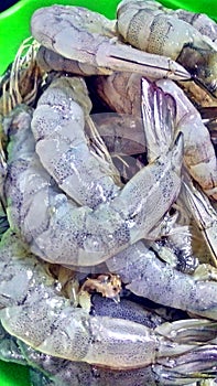 Freshness prawns