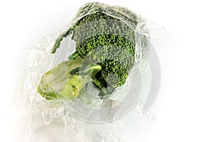 Freshness protected for vegetable by plastic wrap