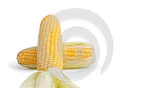 2 Freshness raw corn isolated on the white background