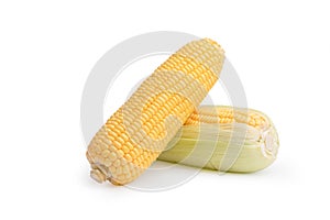 2 Freshness raw corn isolated on the white background