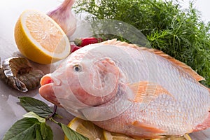 Freshness reddens the Nile Tilapia fish