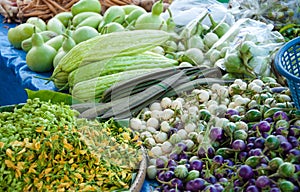 Freshness vegetables