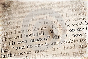 Spring twig with white apple blossoms on the book