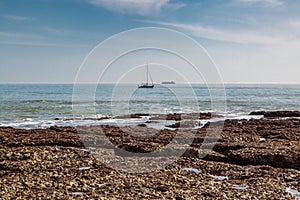 A Freshwater Bay View