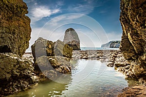 Freshwater Bay View