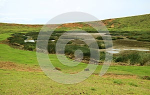 Freshwater crater lake with Totora reeds at the mountaintop of Rano Raraku volcano on Easter island of Chile