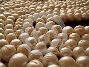 Freshwater cultured ringed pearls in ivory cream color with a fair, medium lustre, set on a table