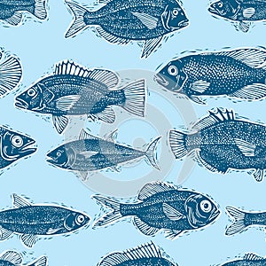 Freshwater fish endless pattern, vector nature and marine theme