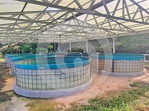 Freshwater fish farm with tarpaulin pond