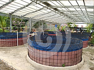 Freshwater fish farm with tarpaulin pond