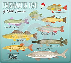 Freshwater Fish of North America