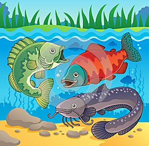 Freshwater fish theme image 3