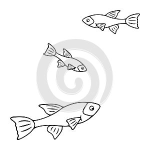 Freshwater fish, three aquarium pets in doodle style