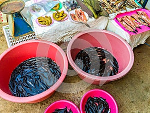 Freshwater fishes for sale in the local fresh market