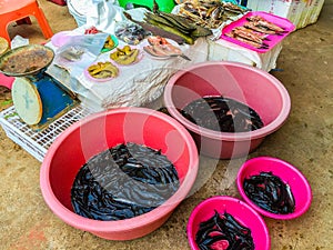 Freshwater fishes for sale in the local fresh market