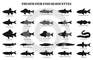 Freshwater fishes silhouettes